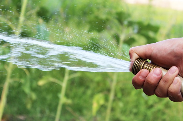 water bore installation benefits the garden